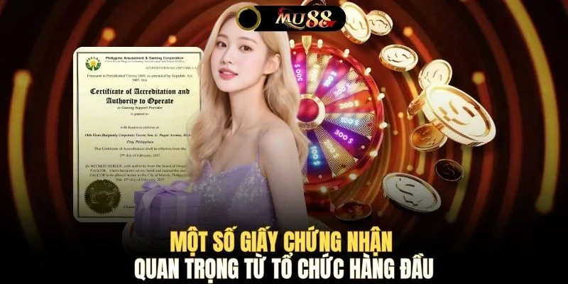 Một số giấy chứng nhận quan trọng từ tổ chức hàng đầu